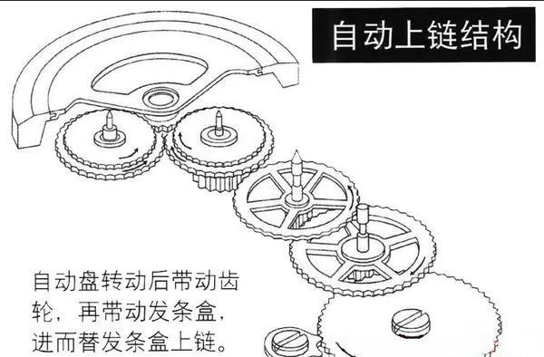 手表生產(chǎn)廠家談手表要佩戴多久才會(huì)走時(shí)精準(zhǔn)？03